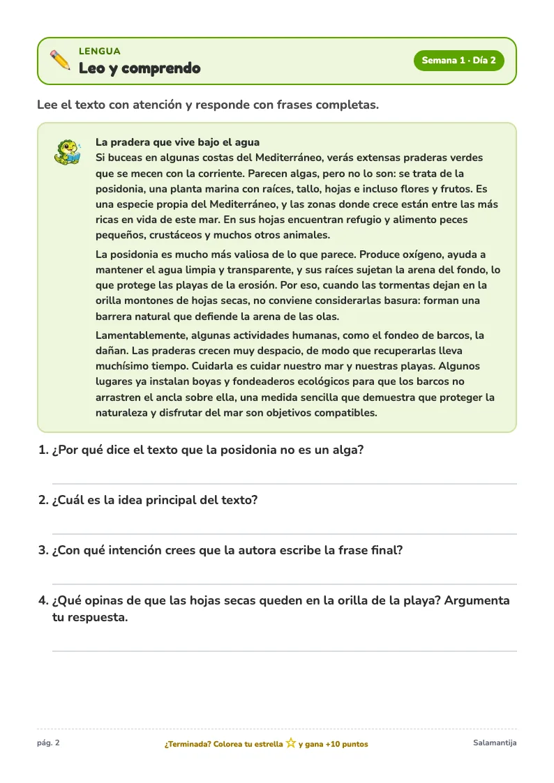 Página de ejemplo de lengua del Cuaderno de Verano de 6º de Primaria, con un ejercicio para completar